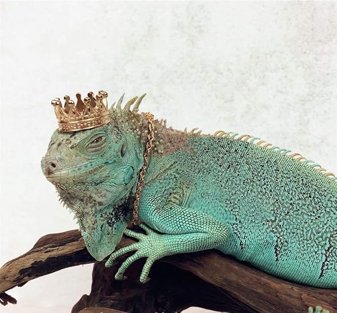 HAICHEN TEC Lizard Crown Lizard Clothes Accessories Gold Alloy Crown Cool Reptile Costume Photo Props Party Jewelry Lizard Clothes for Bearded Dragons Leopard Gecko Iguana Amphibians (Crown) HAICHENTEC