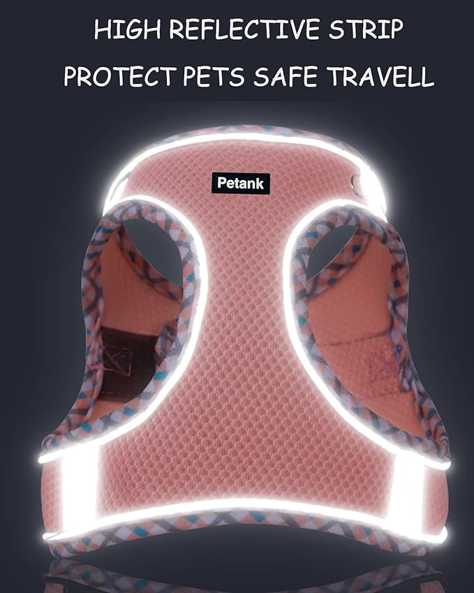 Petank Dog Harness for Small Medium Dogs No Pull, Puppy Harness and Leash Set, Easy Walk Dog Harness for Walking, Running, Training, Small Dog Harness, Medium Dog Harness (Black, XXS) - PAWPICO