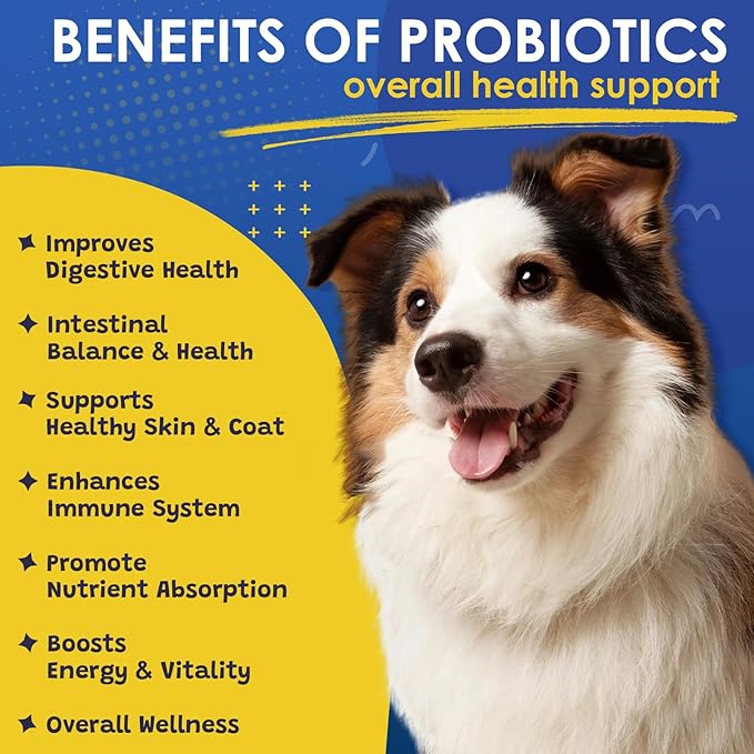 Probiotics for Dogs - Dog Probiotics for Digestive Health, Prebiotics, Enzymes, Fiber, and Omega-3 with Vitamins to Promote Intestinal Health, Support Immunity, Allergies & Itchy Skin, 120 Bites PAWPICO