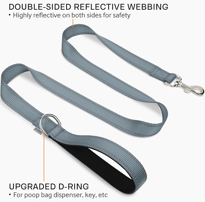 Joytale Double-Sided Reflective Dog Leash, 6 FT/5 FT/4 FT, Padded Handle Nylon Heavy Duty Leashes for Medium & Large Dogs Walking, Gray, 5FT Joytale