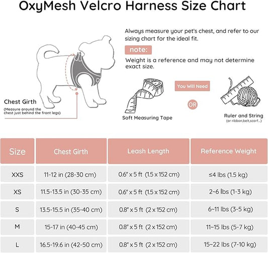 BELLA & PAL Puppy Harness with Leash Set, Dog Harness for Small Dogs No Pull, Dog Leash for Small Dogs, Step in Harness for Extra Small Dogs, Pink Harness, L BELLAPAL