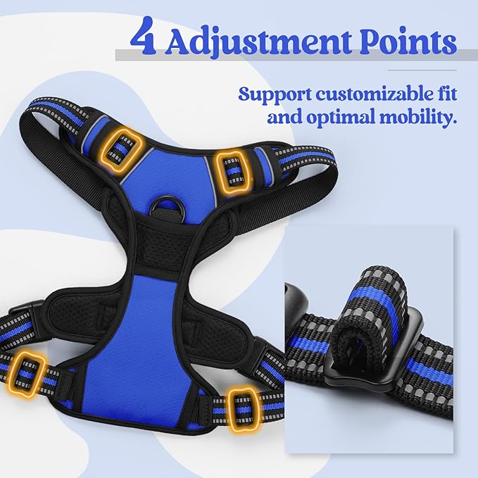rabbitgoo Dog Harness No Pull with 2 Leash Clips, Adjustable Soft Padded, Reflective Oxford No Choke Pet Vest with Easy Control Handle for Medium Sized Dogs, Dazzling Blue, M rabbitgoo