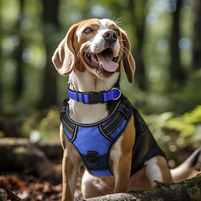 Joytale Reflective Dog Collar,Soft Neoprene Padded Breathable Nylon Pet Collar Adjustable for Medium Dogs,Navy Blue,M - PAWPICO