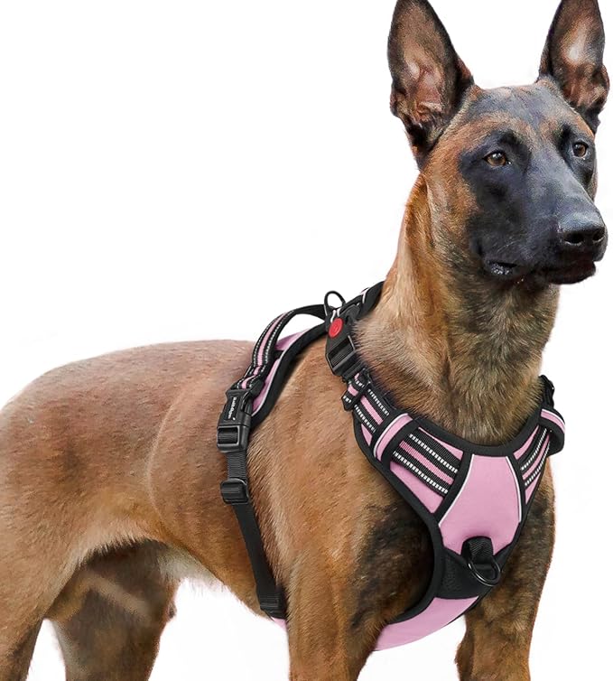 rabbitgoo Dog Harness for Large, No Pull Pet Harness with 3 Buckles, Adjustable Soft Padded Pooch Vest with Instant Control Handle, Easy Walking Reflective Pet Vest for Extra Large Dogs, Pink, XL rabbitgoo