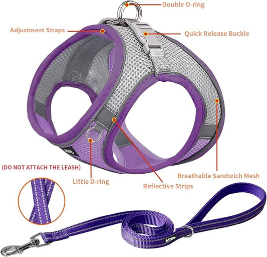 AIITLE Dog Harness, Spring No-Pull Cat Harness with a Leash, Adjustable Reflective Dog Vest, Cat Harness Escape Proof, Outdoor Walking, Camping for Extra Small Dogs and House Cats Purple XXXS AIITLE-FORPETSBETTERLIFE