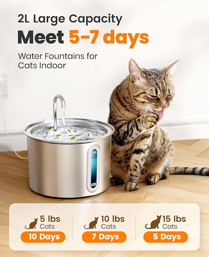 oneisall Stainless Steel Cat Water Fountain, 2L Water Fountains for Cats Indoor with Quiet Pump and 3 Replacement Filters, Pet Water Fountain Faucet Spout Design Cat Fountain Drinking Inside, PWF 001 - PAWPICO
