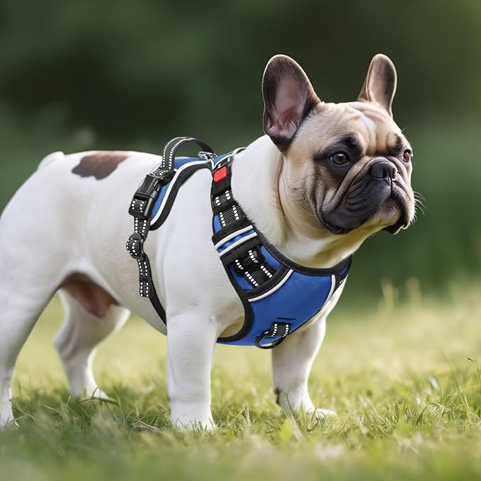Timos Dog Harness for Medium Dog, No Pull Service Vest with Reflective Strips and Control Handle,No Choke Dog Harness with 2 Metal Rings for Easy Walking,Outdoor Training,Blue, M Timos