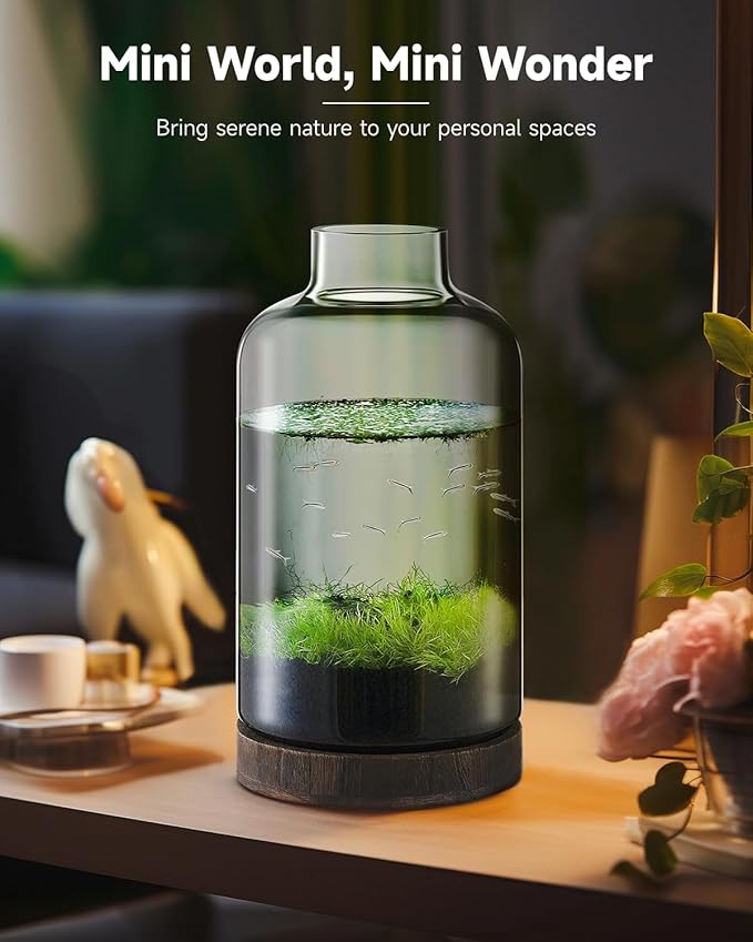 PONDON 1 Gallon Fish Bowl Vase, Featured Aquarium Kit Aquariums Channel, Wooden Base and Water Changer Included PONDON
