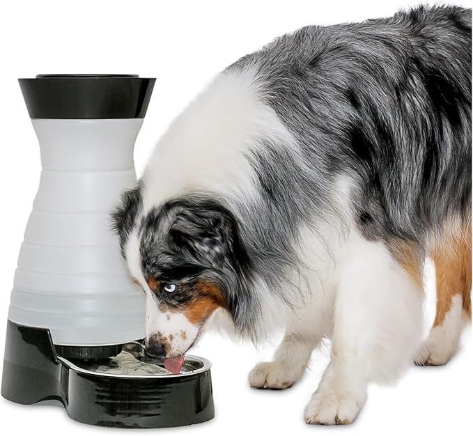 PetSafe Healthy Pet Water Station - Large, 320 oz Capacity - Gravity Pet Water Fountain, Automatic Cat Water Fountain or Dog Water Fountain - Water Dispenser - Removable Stainless Steel Bowl Included - PAWPICO