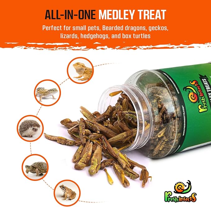Medley Treat Bearded Dragon Food - Freeze Dried Mealworms, Grasshoppers, Crickets, Quality Tested, Vitamin & Calcium Enriched, Essential Proteins, Fats & Minerals - for Bearded Dragons, Reptiles 6 oz Freshinsects