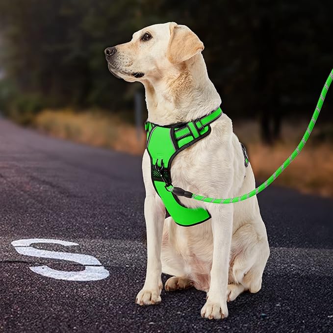 IVY&LANE No Pull Dog Harness for Large Dogs, Dog Vest Harness with Leash, Safety Belt and Storage Strap, Fully Adjustable Harness, 360° Reflective Strip, Soft Handle (Green, L) IVYLANE