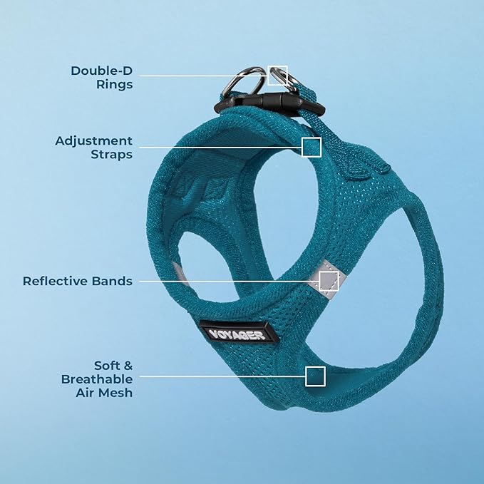 Voyager Step-in Air Dog Harness - All Weather Mesh, Reflective, No Pull Harness for Small, Medium Dogs, Cats - Secure with Hook & Loop Fastener, Buckle, Double D-Rings - Turquoise, M BestPetSuppliesLLC