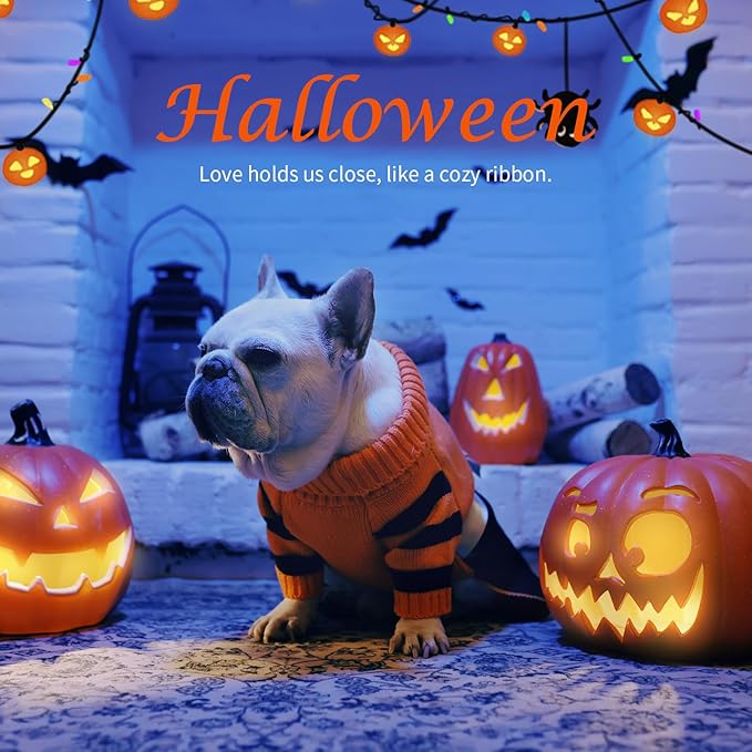 Dog Halloween Sweater for X-Small Size Dog - Puppy Gift Medium Warm Pumpkin Clothes in Winter, Turtleneck Pullover Design for Boy Girl Pet, Doggies, Cat, Kitten Pug Bulldog (XS, Orange, Black) - PAWPICO
