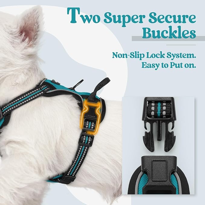 rabbitgoo Dog Harness No Pull with 2 Leash Clips, Adjustable Soft Padded, Reflective Oxford No Choke Pet Vest with Easy Control Handle for Puppy, Teal, XS rabbitgoo