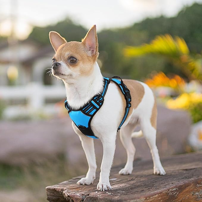 Eagloo Small Dog Harness No Pull, Service Vest with Reflective Strips and Control Handle, Adjustable and Comfortable for Easy Walking, No Choke Pet Harness with 2 Metal Rings, Sky Blue, XS GoExplorewithEagloo