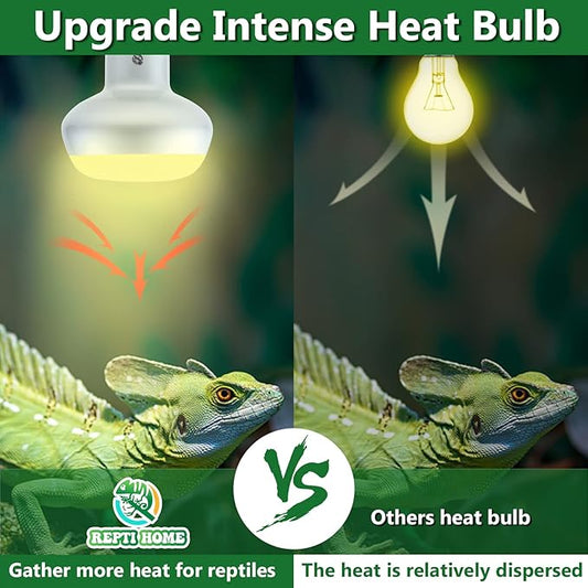 Intense Reptile Heat Lamp Bulbs -2 Pack 75W, Reptiles & Amphibians UVA Basking Spot Lamp Bulb,Simulate Natural Sunlight Reptile Daylight Heat Bulb for Bearded Dragon, Snake REPTIHOME
