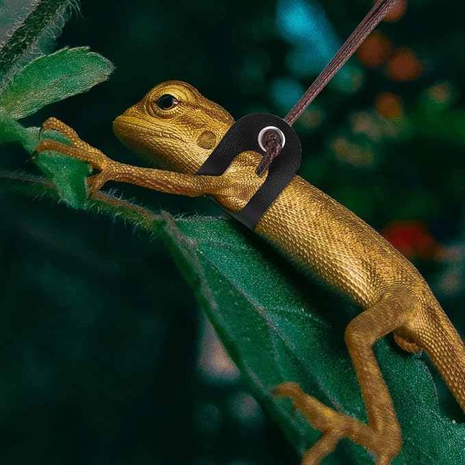 cobee Bearded Dragon Harness and Leash, 3 Pcs Adjustable Lizard Leashes, Soft Leather Reptile Lizard Leash with Cool Wings for Iguana Gecko Chameleon Amphibians Rat Small Pet Animals PAWPICO
