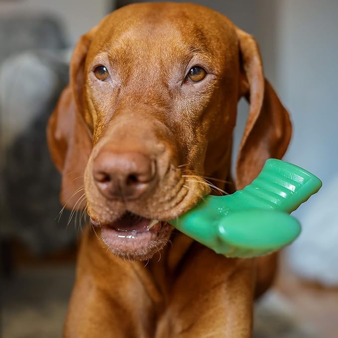 Barkbox Super Chewer Tough Dog Chew Toys for Aggressive Chewers, Dental Stimulating (Chopper - Small) - PAWPICO