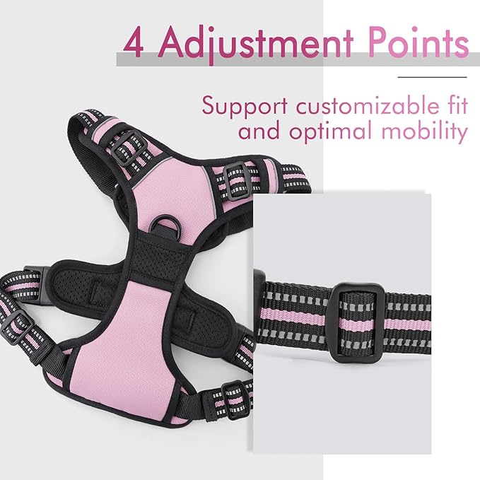 rabbitgoo Dog Harness, No-Pull Pet Harness with 2 Leash Clips, Adjustable Soft Padded Dog Vest, Reflective No-Choke Pet Oxford Vest with Easy Control Handle for Small Dogs, Pink, S - PAWPICO