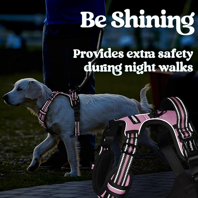 rabbitgoo Dog Harness Medium Sized, No Pull Pet Harness with 3 Buckles, Adjustable Soft Padded Pooch Vest with Instant Control Handle, Easy Walking Reflective Pet Vest for Medium Dogs, Pink, M - PAWPICO