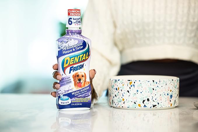 Dental Fresh Advanced Plaque and Tartar Water Additive, 17oz – Dog Teeth Cleaning Formula to Freshen Breath and Improve Overall Oral Health DentalFresh
