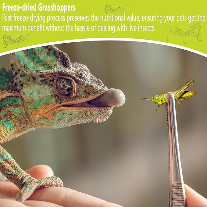 Freeze Dried Grasshoppers – 4.5 Oz High Protein Freeze Dried Grasshoppers Food for Reptiles, Bearded Dragons Lizards, Geckos, Birds, Hedgehogs Jadingfarm