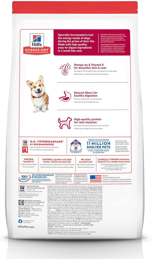 Hill's Science Diet Adult 1-6, Adult 1-6 Premium Nutrition, Small Kibble, Dry Dog Food, Chicken & Barley, 15 lb Bag - PAWPICO