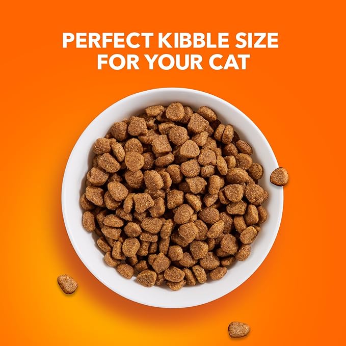 IAMS Proactive Health Healthy Adult Dry Cat Food with Chicken, 22 lb. Bag - PAWPICO