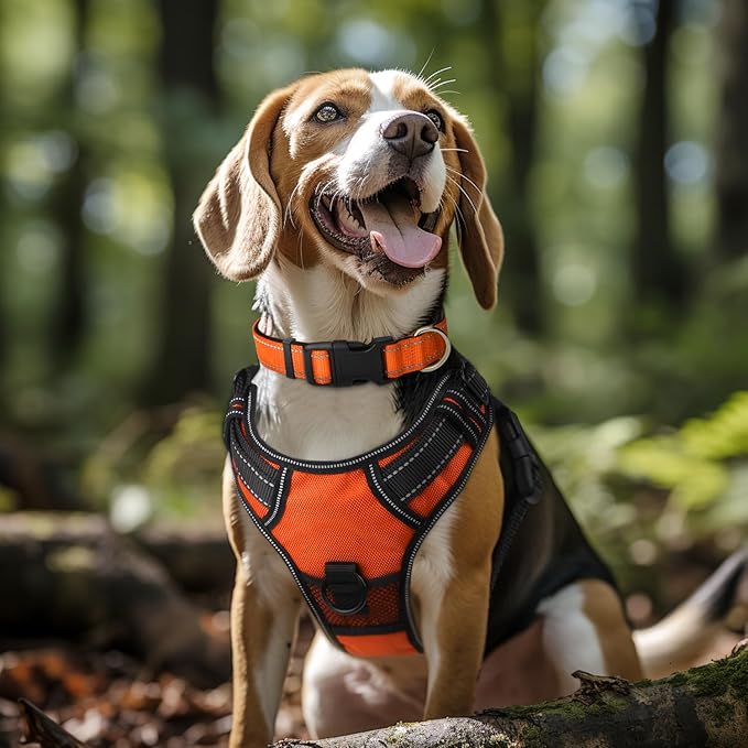 Joytale Dog Collar,Soft Neoprene Padded Breathable Nylon Pet Collar Adjustable for Large Dogs,Orange,L - PAWPICO