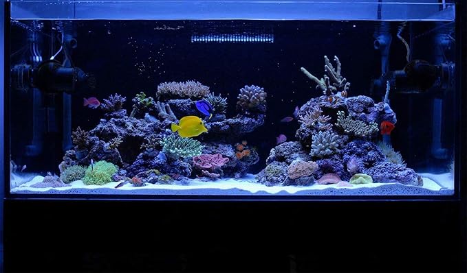 KZKR Aquarium Hood Lighting Fish Tank Light 48-60 inch lamp for Freshwater Saltwater Marine Blue and White Decorations Light 120-150 cm KZKR
