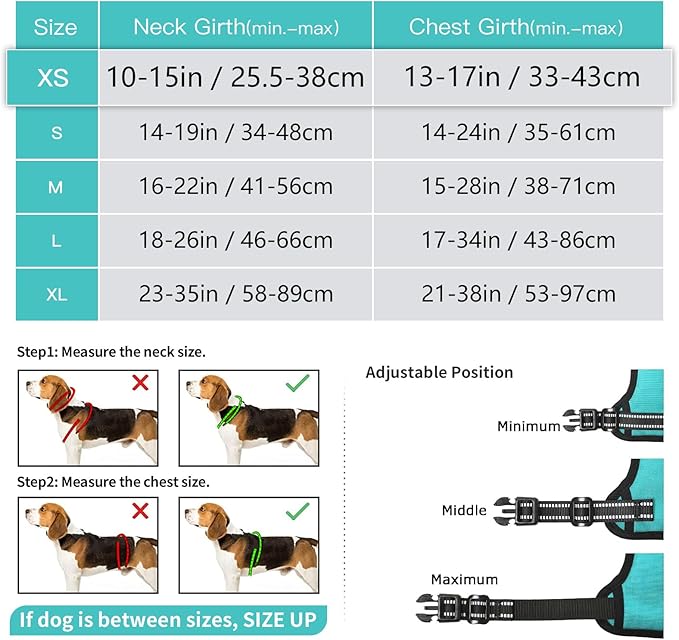 Timos Dog Harness, No-Pull Pet Harness with 2 Leash Clips, Adjustable Soft Padded Dog Vest, Reflective Outdoor Pet Oxford Vest with Easy Control Handle Turquoise Timos