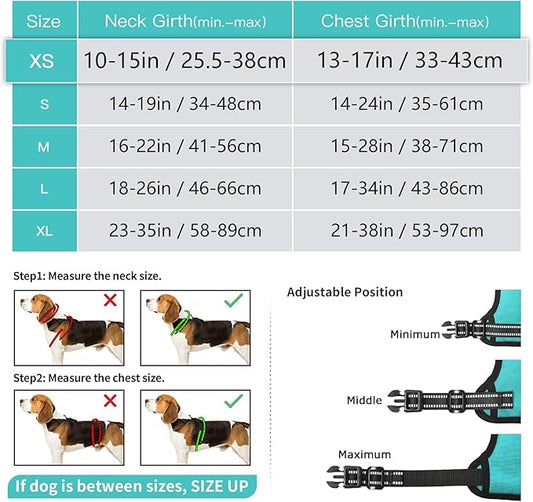 Timos Dog Harness, No-Pull Pet Harness with 2 Leash Clips, Adjustable Soft Padded Dog Vest, Reflective Outdoor Pet Oxford Vest with Easy Control Handle Turquoise Timos