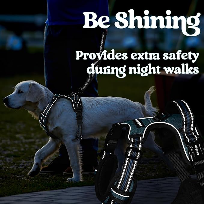 rabbitgoo Dog Harness Medium Sized, No Pull Pet Harness with 3 Buckles, Adjustable Soft Padded Pooch Vest with Instant Control Handle, Easy Walking Reflective Pet Vest for Medium Dogs, Blue Coral, M - PAWPICO