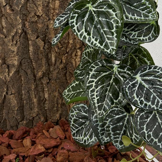 Reptile Plants for Terrarium, Amphibian Habitat Decor Artificial Hanging Plants with Suction Cup - Fake Anthurium Crystallinum WOLEDOE