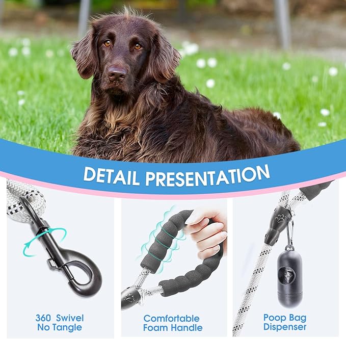 BAAPET 2/4/5/6 FT Dog Leash with Comfortable Padded Handle and Highly Reflective Threads for Small Medium and Large Dogs (6FT-1/2'', Silver) BAAPET