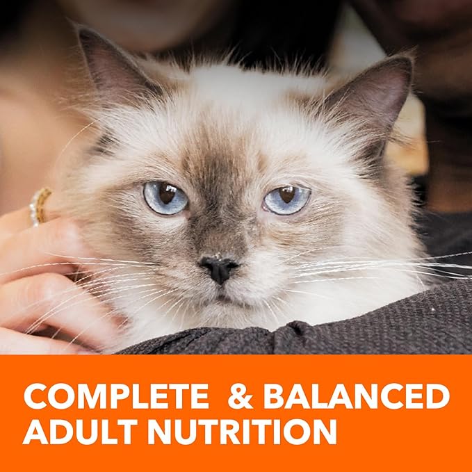 IAMS Proactive Health Healthy Adult Dry Cat Food with Chicken, 22 lb. Bag - PAWPICO
