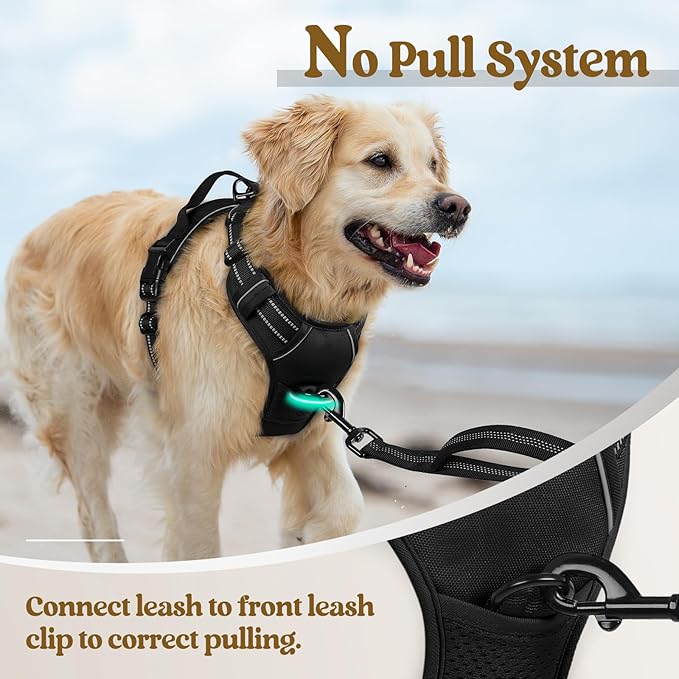 rabbitgoo Dog Harness No Pull with 2 Leash Clips, Adjustable Soft Padded, Reflective Oxford No Choke Pet Vest with Easy Control Handle for Large Dogs, Black, XL rabbitgoo