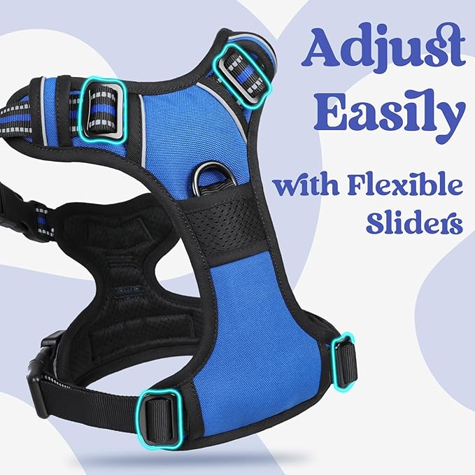 rabbitgoo Dog Harness Small Sized, No Pull Pet Harness with 3 Buckles, Adjustable Soft Padded Pooch Vest with Instant Control Handle, Easy Walking Reflective Pet Vest for Small Dogs, Blue, S rabbitgoo