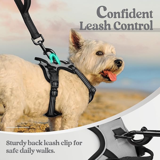 rabbitgoo Dog Harness No Pull with 2 Leash Clips, Adjustable Soft Padded, Reflective Oxford No Choke Pet Vest with Easy Control Handle for Puppy, Grey, XS rabbitgoo