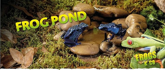 Exo Terra Frog Pond, Amphibian Terrarium Water Source, Large ExoTerra