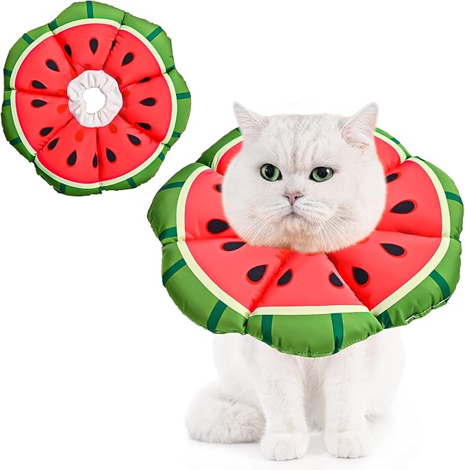 Avont Cat Cone Collar Soft, Adjustable Recovery E Collar Alternative for Cats Kittens Puppies, Elizabethan Neck Cone of Shame to Prevent Licking Biting After Surgery Protect Wounds -Melon(L) Avont
