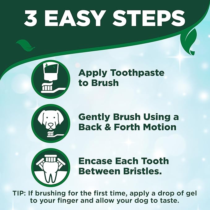 Vet's Best Dog Toothbrush & Enzymatic Toothpaste Kit - Teeth Cleaning - Made with Natural Ingredients - Reduces Plaque, Whitens Teeth, Freshens Breath - Bonus Care Guide & Finger Brush Included VetsBest