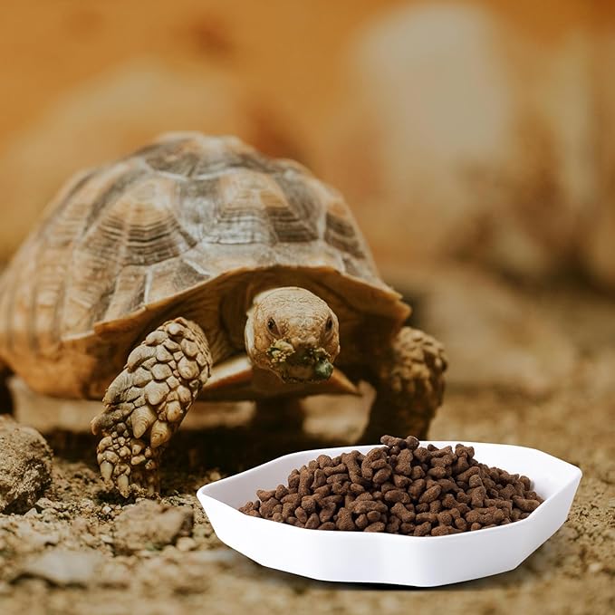 4 Pack Reptile Food Dish Bowl, Plastic Worm Water Dish Plate for Lizard Gecko Bearded Dragon Chameleon, White and Brown, 2 Sizes COMSUN