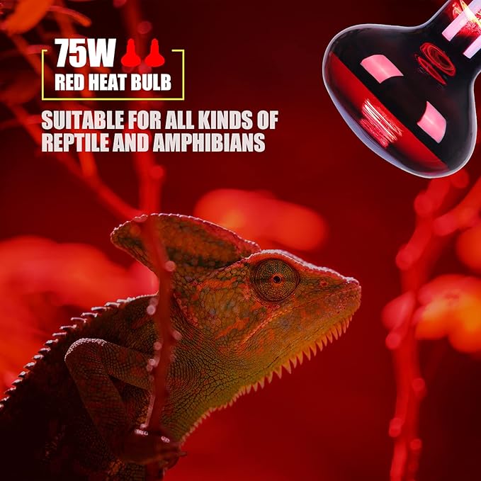 Infrared Heat lamp Basking Spot Light Bulb,LEDESIGN 75 Watt Red Heat Lamp Bulbs for Reptiles and Amphibian Use, 2 Packs (Red) LEDESIGN