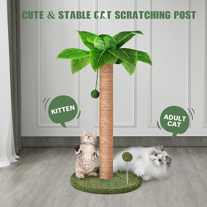 Dohump Cat Scratching Post, 26" Kitten Scratching Post with Premium Sisal Rope, Cute Cat Tree with Dangling and Spring Ball Toys for Indoor Small Cats - PAWPICO