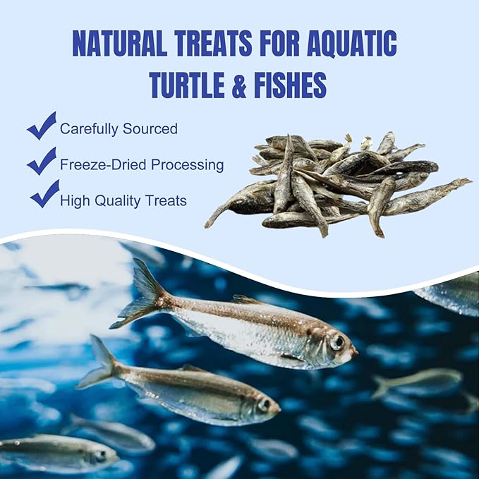Amzey 2.3 oz Dried River Fish - Natural Food for Turtles, Terrapins, Reptiles and Large Tropical Fish Amzey