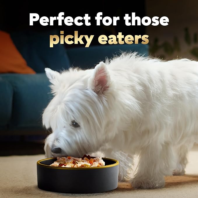 CESAR SIMPLY CRAFTED Adult Soft Wet Dog Food Meal Topper Variety Pack, Chicken, Carrot, Potato & Peas and Chicken, Sweet Potato, Apple, Barley & Spinach, 8 Count(Pack of 2) - PAWPICO