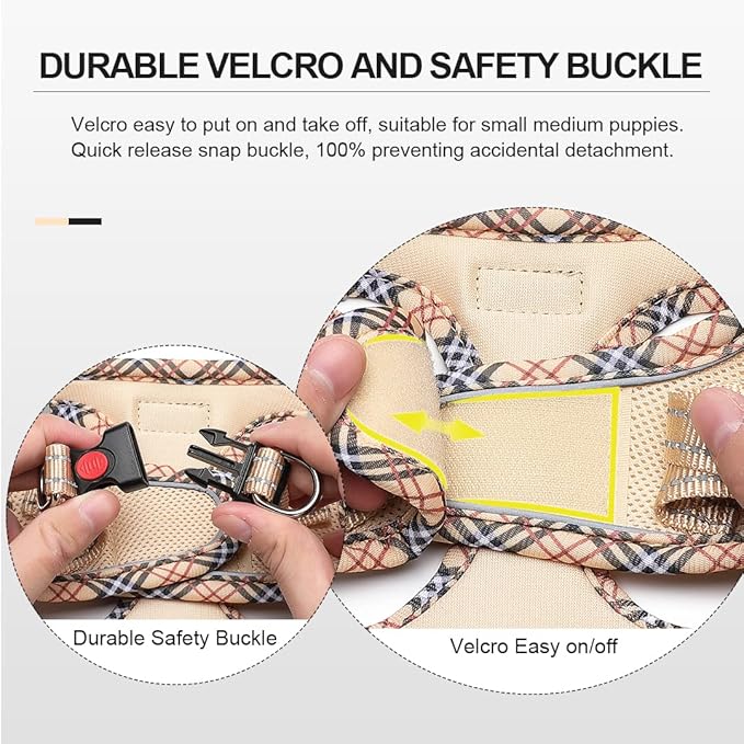 Mercano Soft Mesh Dog Harness and Leash Set, No-Chock Step-in Reflective Breathable Lightweight Easy Walk Escape Proof Vest Harnesses with Safety Buckle for Small Medium Dogs, Cats (Beige, XXS) PAWPICO