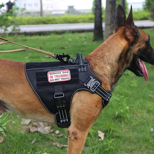 ICEFANG Tactical Dog Harness,Large Size, 2X Metal Buckle,Working Dog MOLLE Vest with Handle,No Pulling Front Leash Clip,Hook and Loop Panel ICEFANGDIRECT