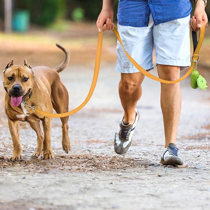 Joytale Double-Sided Reflective Dog Leash, 6 FT/5 FT/4 FT, Padded Handle Nylon Heavy Duty Leashes for Medium & Large Dogs Walking, Khaki, 6FT Joytale